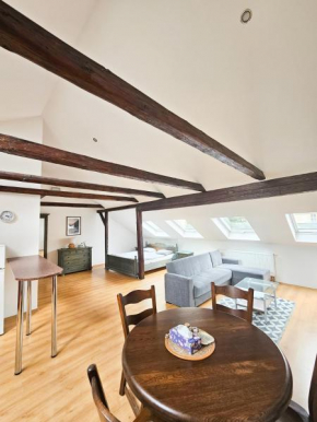 Apartmány Princ Děčín